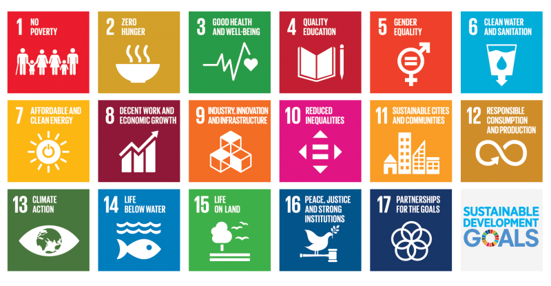 Sustainable Development Goals - WHO